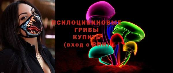 эйфоретик Аркадак
