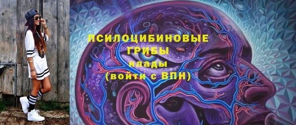эйфоретик Аркадак